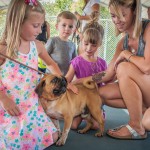 children meeting dogs