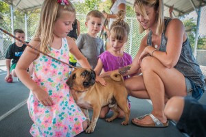 children meeting dogs