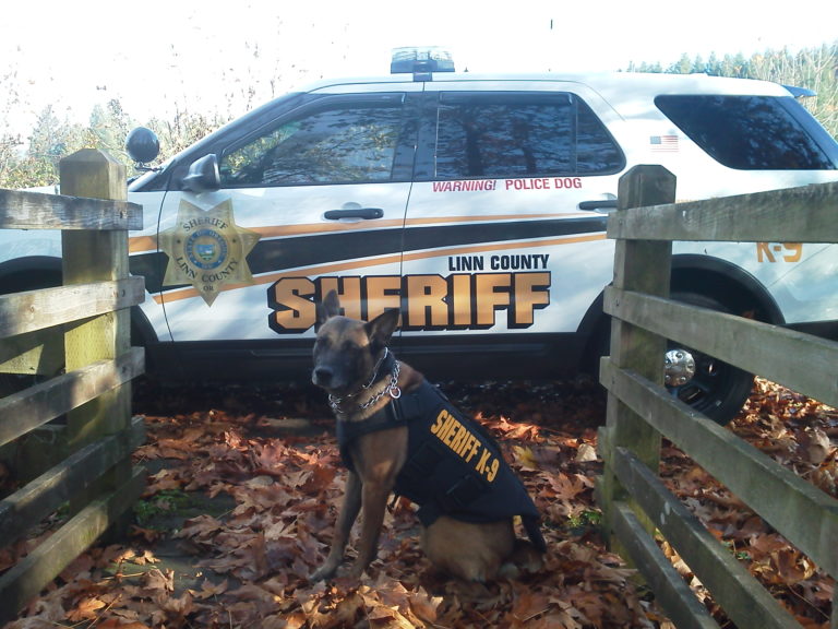 Linn County Sheriff’s Office K9 Berry Has Received Body Armor Linn